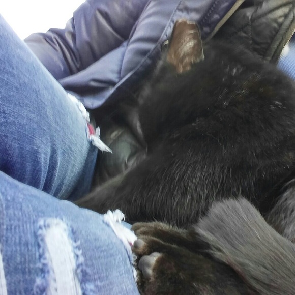 Meet your Posher, Anna - Picture 3 of 8